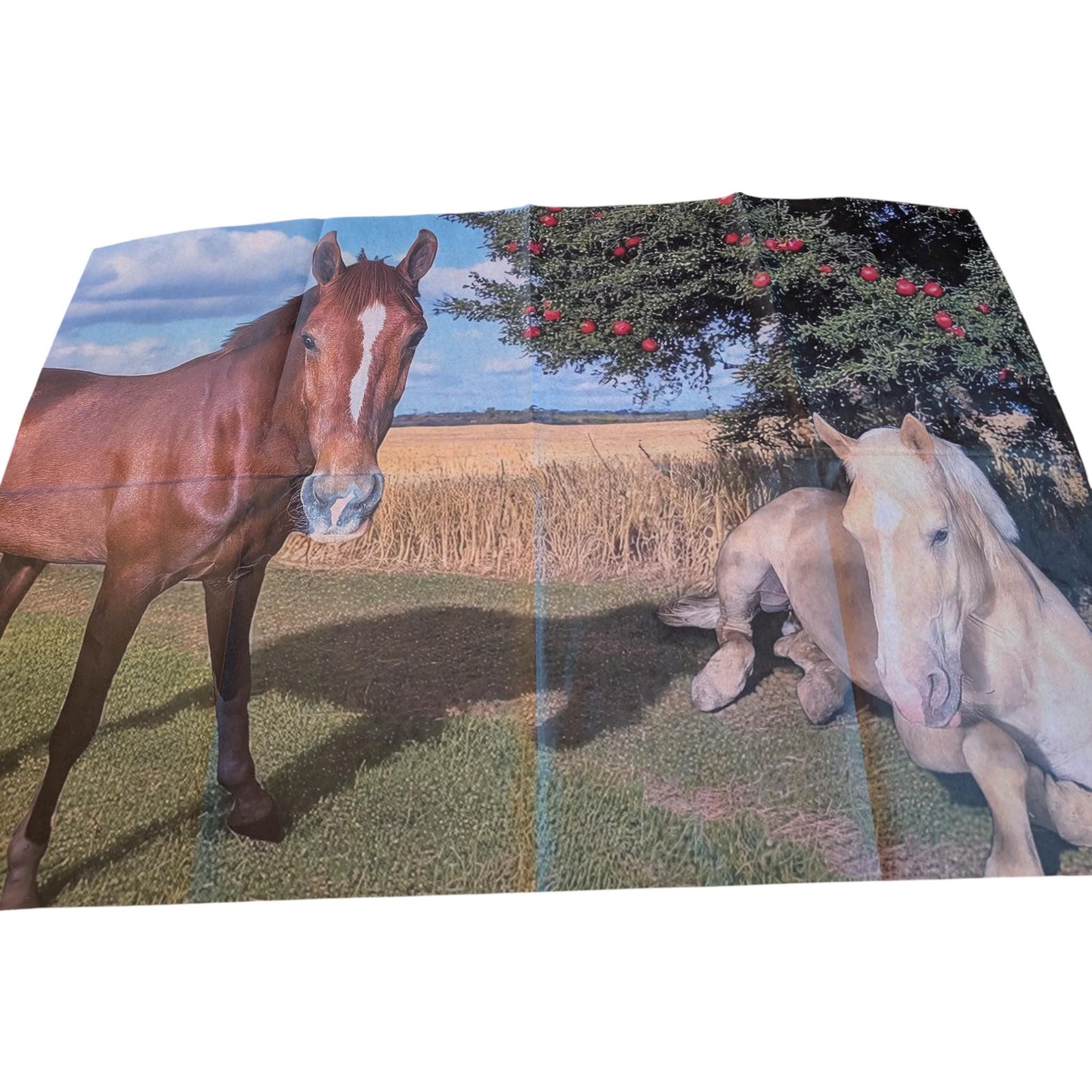Horses Decoupage Paper for Furniture DIY Upcycling, Farmhouse Tissue Paper for Home Decor Crafts & Projects. Discover the perfect decoupage paper for furniture upcycling with our Horses Decoupage Paper, designed specifically for DIY enthusiasts who love farmhouse style and rustic charm. This high-quality tissue paper brings a timeless equestrian motif to your furniture and home decor projects, setting it apart from generic craft papers. Perfect for rustic and farm house decor DIY projects.