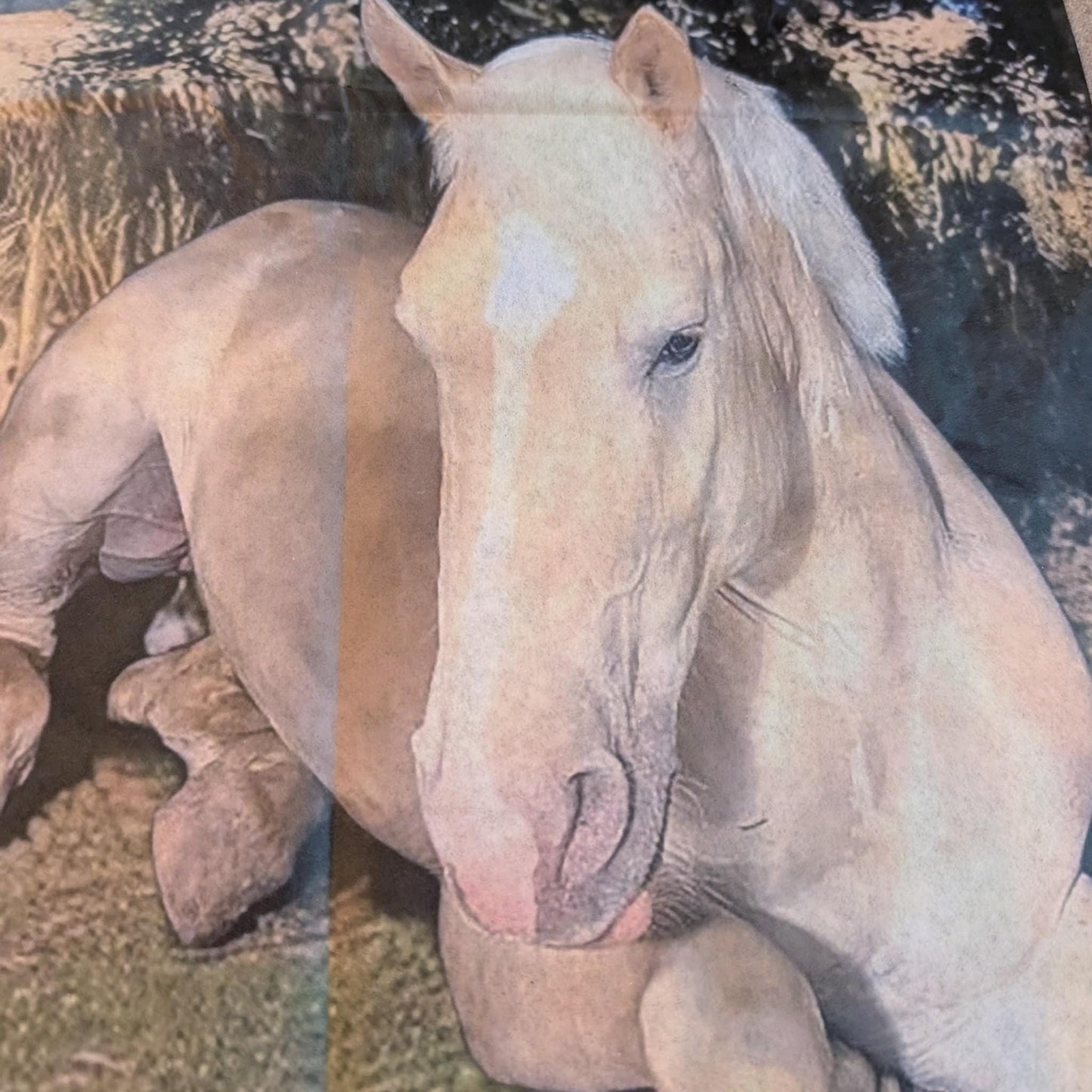 Horses Decoupage Paper for Furniture DIY Upcycling, Farmhouse Tissue Paper for Home Decor Crafts & Projects. Discover the perfect decoupage paper for furniture upcycling with our Horses Decoupage Paper, designed specifically for DIY enthusiasts who love farmhouse style and rustic charm. This high-quality tissue paper brings a timeless equestrian motif to your furniture and home decor projects, setting it apart from generic craft papers. Perfect for rustic and farm house decor DIY projects.