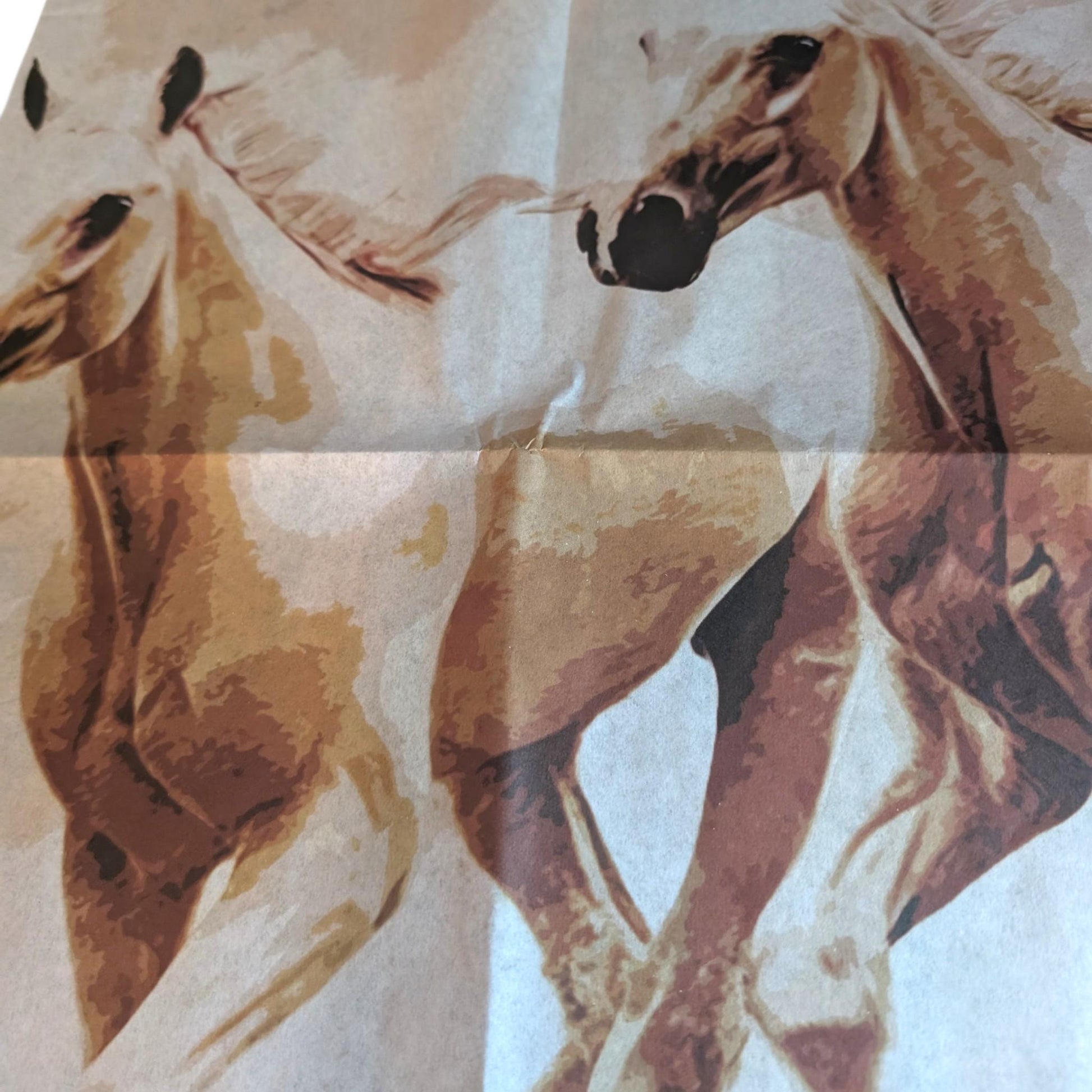 Transform your furniture and craft projects with our Wild Horses Decoupage Paper, designed to bring authentic farmhouse charm to your space. This rustic tissue paper is perfect for upcycling tired furniture, adding a unique touch to wall decor, or enhancing your rustic DIY crafts. What sets this decoupage paper apart is its detailed wild horse design, crafted to evoke the freedom and spirit of the farm life, making your creations truly stand out with genuine character.