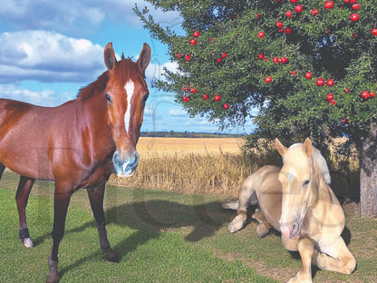 Horses Decoupage Paper for Furniture DIY Upcycling, Farmhouse Tissue Paper for Home Decor Crafts & Projects. Discover the perfect decoupage paper for furniture upcycling with our Horses Decoupage Paper, designed specifically for DIY enthusiasts who love farmhouse style and rustic charm. This high-quality tissue paper brings a timeless equestrian motif to your furniture and home decor projects, setting it apart from generic craft papers. Perfect for rustic and farm house decor DIY projects.
