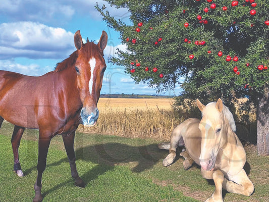 Horses Decoupage Paper for Furniture DIY Upcycling, Farmhouse Tissue Paper for Home Decor Crafts & Projects. Discover the perfect decoupage paper for furniture upcycling with our Horses Decoupage Paper, designed specifically for DIY enthusiasts who love farmhouse style and rustic charm. This high-quality tissue paper brings a timeless equestrian motif to your furniture and home decor projects, setting it apart from generic craft papers. Perfect for rustic and farm house decor DIY projects.
