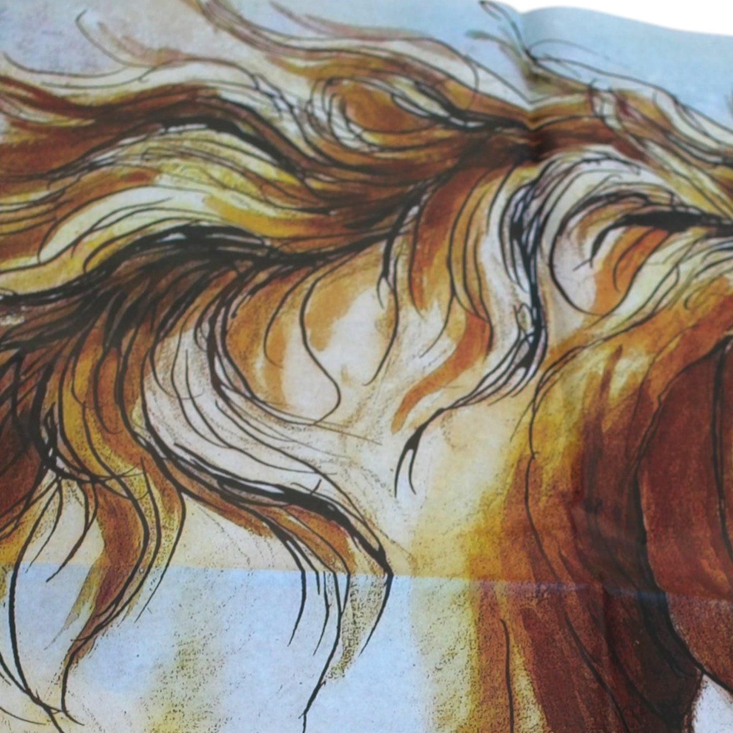 Decoupage Paper For  Furniture Upcycling.. Transform your furniture and craft projects with our Wild Horse Decoupage Paper, designed to bring authentic farmhouse charm to your space. This rustic tissue paper is perfect for upcycling tired furniture, adding a unique touch to wall decor, or enhancing your rustic DIY crafts. What sets this decoupage paper apart is its detailed wild horse design, crafted to evoke the freedom and spirit of the farm life, making your creations truly stand out