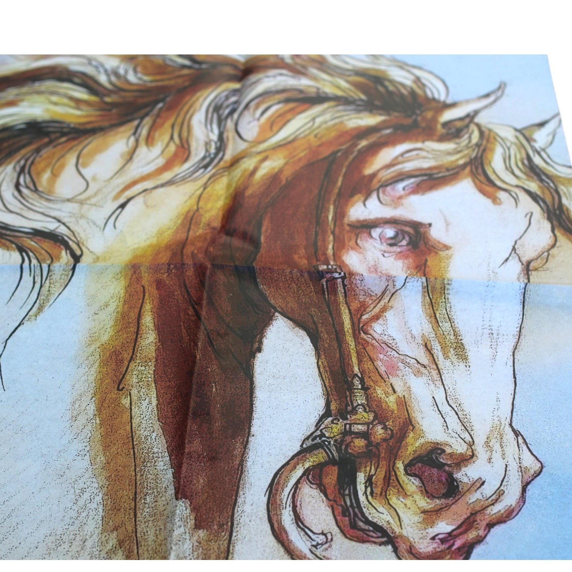 Decoupage Paper For  Furniture Upcycling.. Transform your furniture and craft projects with our Wild Horse Decoupage Paper, designed to bring authentic farmhouse charm to your space. This rustic tissue paper is perfect for upcycling tired furniture, adding a unique touch to wall decor, or enhancing your rustic DIY crafts. What sets this decoupage paper apart is its detailed wild horse design, crafted to evoke the freedom and spirit of the farm life, making your creations truly stand out