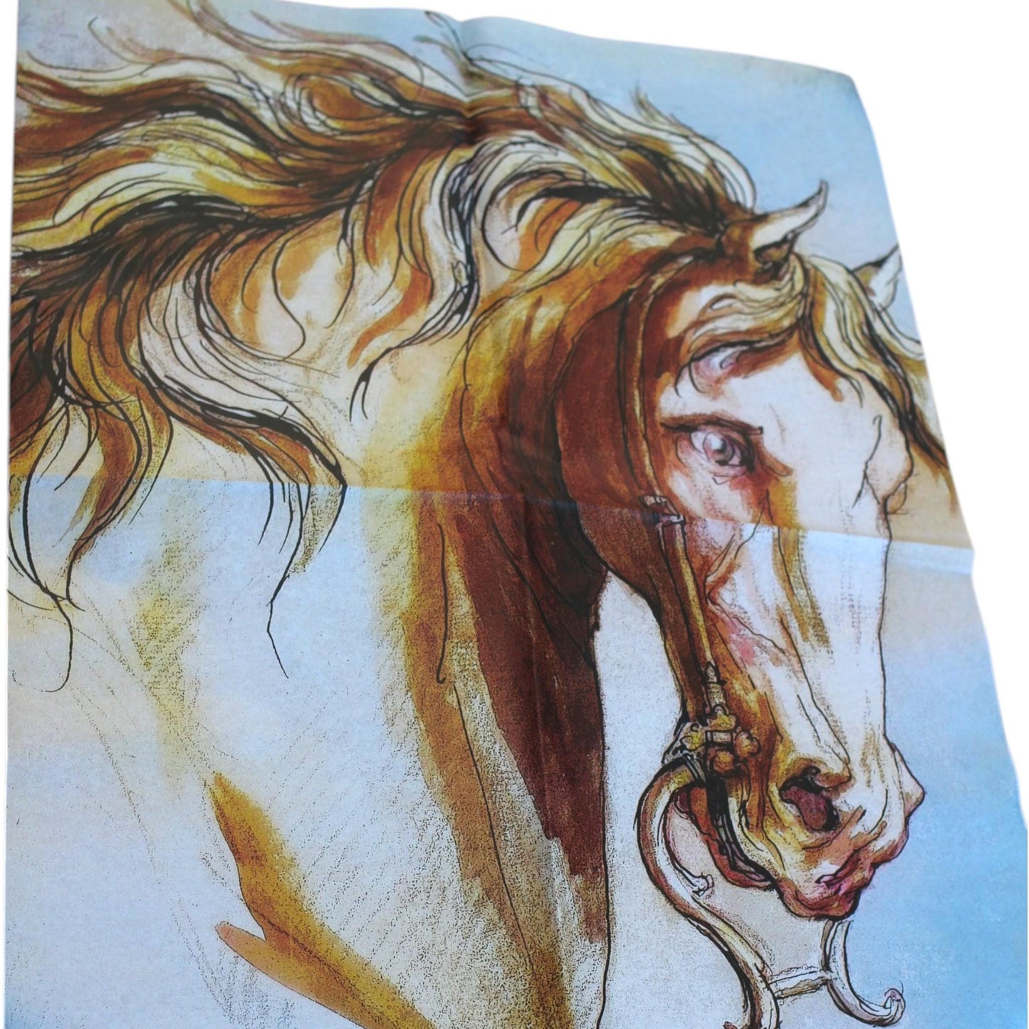 Decoupage Paper For  Furniture Upcycling.. Transform your furniture and craft projects with our Wild Horse Decoupage Paper, designed to bring authentic farmhouse charm to your space. This rustic tissue paper is perfect for upcycling tired furniture, adding a unique touch to wall decor, or enhancing your rustic DIY crafts. What sets this decoupage paper apart is its detailed wild horse design, crafted to evoke the freedom and spirit of the farm life, making your creations truly stand out