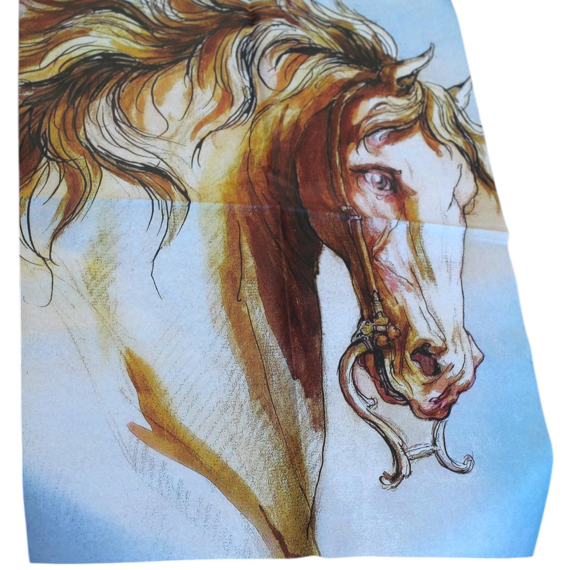 Decoupage Paper For  Furniture Upcycling.. Transform your furniture and craft projects with our Wild Horse Decoupage Paper, designed to bring authentic farmhouse charm to your space. This rustic tissue paper is perfect for upcycling tired furniture, adding a unique touch to wall decor, or enhancing your rustic DIY crafts. What sets this decoupage paper apart is its detailed wild horse design, crafted to evoke the freedom and spirit of the farm life, making your creations truly stand out